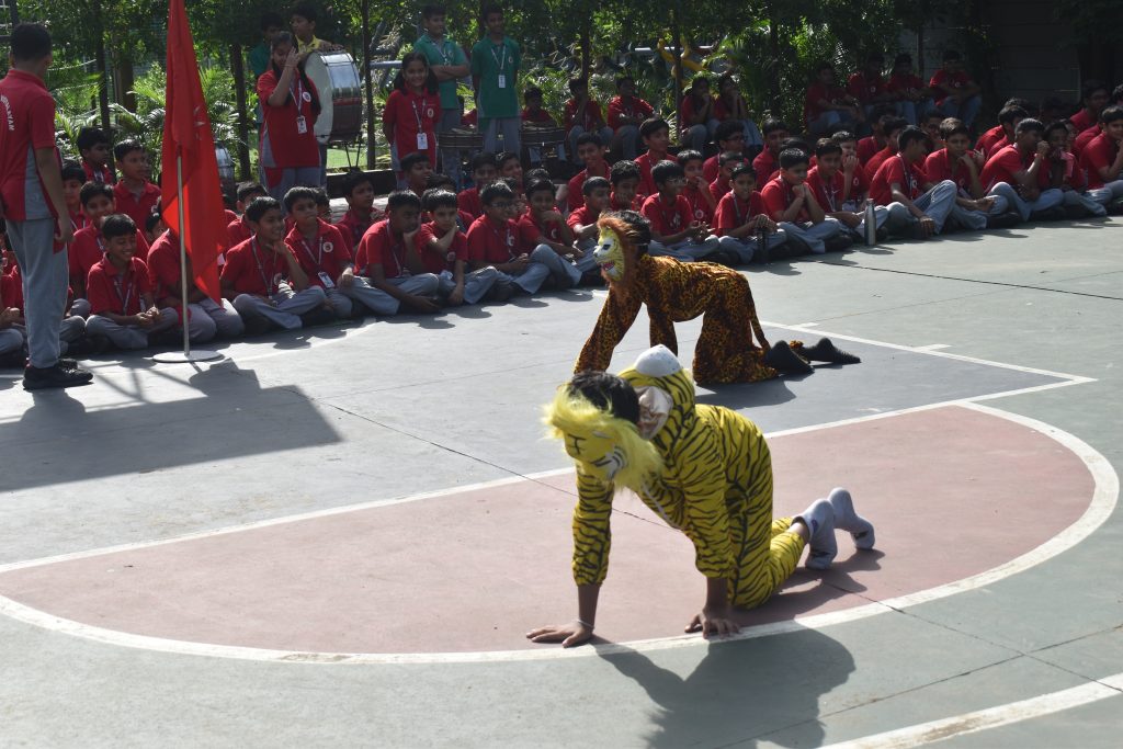 DSC_0307 (1)
